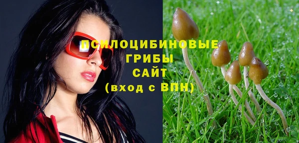 герыч Протвино