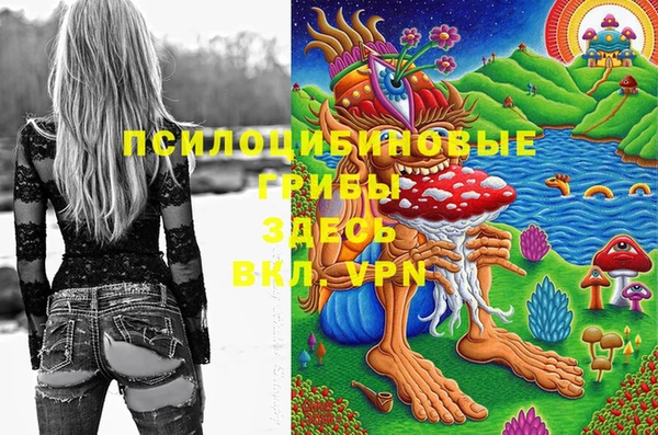 ECSTASY Алексеевка