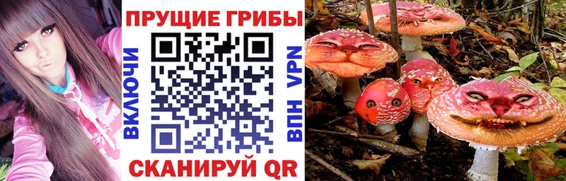 как найти наркотики Любим Галлюциногенные грибы MAGIC MUSHROOMS